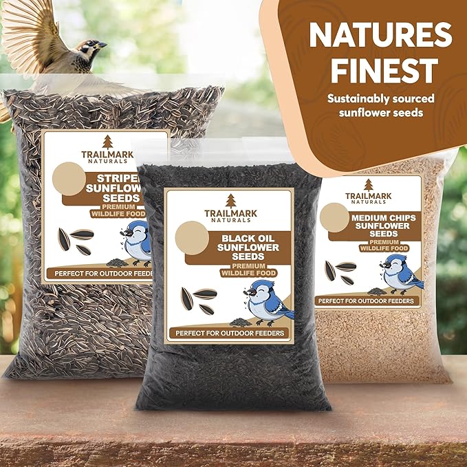 6 Pound Black Oil Sunflower Seeds for Birds – Premium Wildlife Food – Non - GMO -Grown in the USA - Black Oil Sunflower Seeds for Wild Animals and Backyard Feeders
