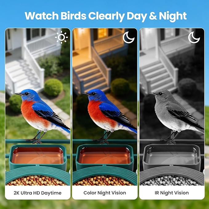 Smart Bird Feeder with Camera : 2K HD Video Live Stream, AI Birds Species Identification ＆ Instant Arrival Alerts, Solar Bird Feeder Camera for Outdoor Backyard, Ideal Gifts for Families nature lovers