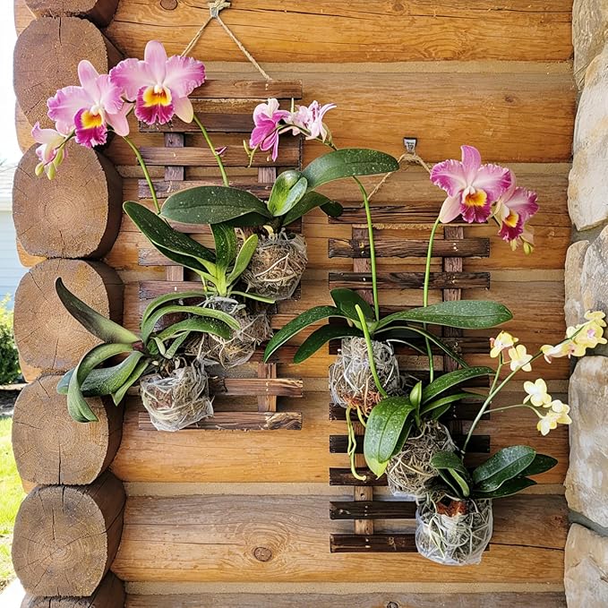 Mulctun 2 Pcs Wall Planters - 11.4"W x 23.62"H Wooden Wall Planters for Indoor Outdoor Plants,Hanging Wood Wall Trellis,Wall Mounted Plant Holder for Orchids,Succulent,Air Plants,Hanging Pots Display