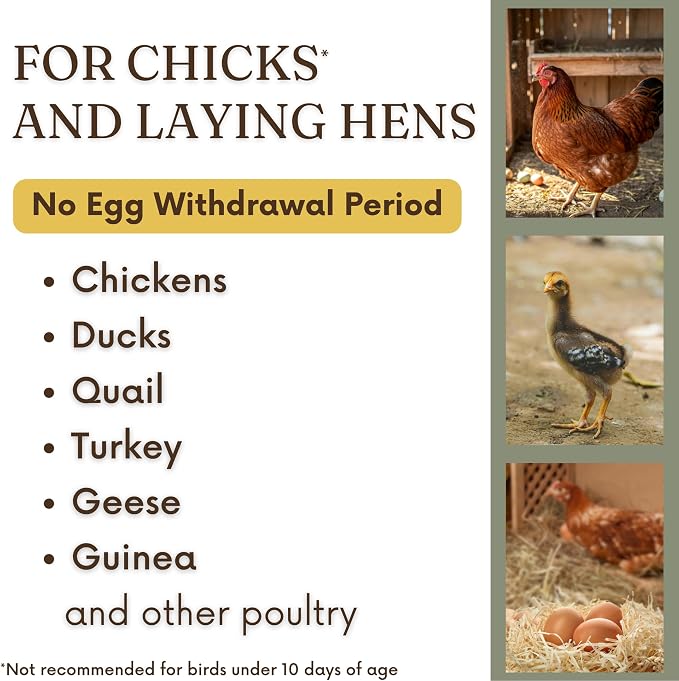 Poultry Chicken & Coop Spray 32 oz | Kills Mites, Fleas, Lice & Ticks | Clove & Cottonseed Essential Oils | Use on Chicks* & Laying Hens | No Egg Withdrawal | Made in USA