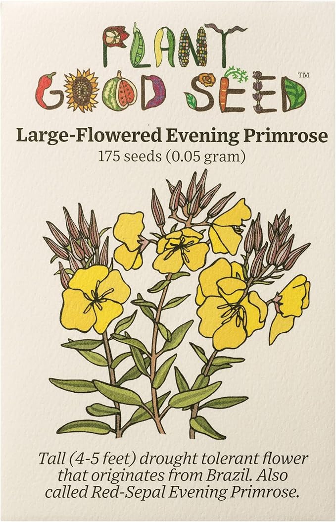 Plant Good Seed Organic Large Flowered Evening Primrose Seeds - Pack of 175, Heirloom Seeds for Planting Herbs, Flowers - Gardening Supplies, Herb Garden - Non-GMO, from USA