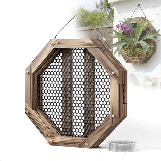 12.8 Inches Staghorn Fern Mounting Kit Orchid Mounting Wood Hanging Plant Frame Wall Planter Plant Holder Basket for Orchids Staghorn Fern Tropical Plants (325x325x60mm)