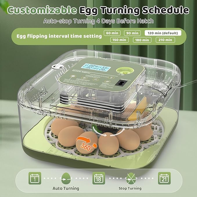 Incubators for Hatching Eggs 12 Egg Digital Egg Incubator Precision Auto Temp Humidity Control 6 Gear Adjustable Auto Turner Auto Stop Turning Hatching Days Display for Chicken Duck Goose Eggs (Green)