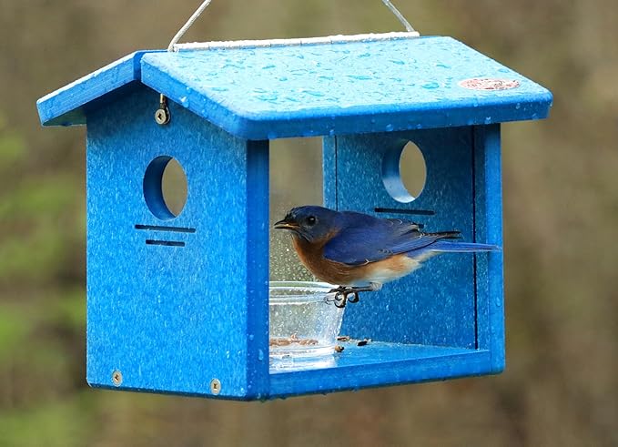 Kettle Moraine Recycled Bluebird Mealworm Feeder Hang or Mount (Blue, Blue)