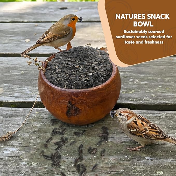 50 Pound Black Oil Sunflower Seeds for Birds – Premium Wildlife Food – Non - GMO -Grown in the USA - Black Oil Sunflower Seeds for Wild Animals and Backyard Feeders