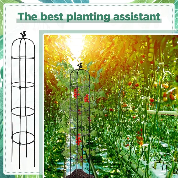 Yaocom 8 Pack 6Ft Garden Obelisk Trellis for Climbing Plants Outdoor Metal Garden Trellis Rustproof Rose Trellis Support Plant Pots Tall Tower Plant Trellis for Garden Climbing Vines Flowers