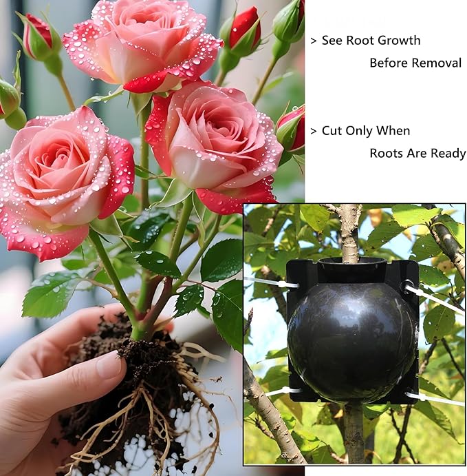 Tree Root Growing Box – Air Layering Propagation Pods for Woody Plants, Reusable Transparent Rooting Device for Magnolia, Fig, Citrus & Roses (10pcs Small, 3–9mm Branches)