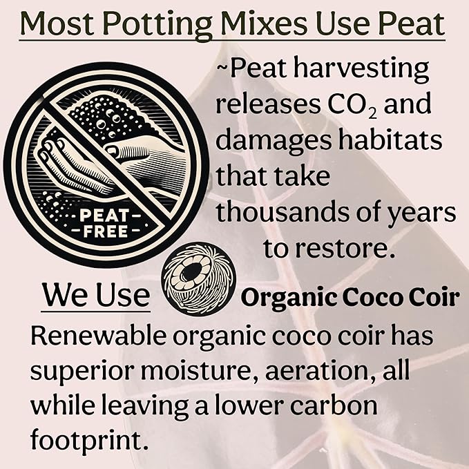 Craft Organic Houseplant Potting Mix, Elite House Plant Soil, Chunky, Well Draining Potting Soil for All Indoor Plants, Tropical Plants & Flowers, Sustainable & Peat Free, Less Prone to Gnats, 2QT