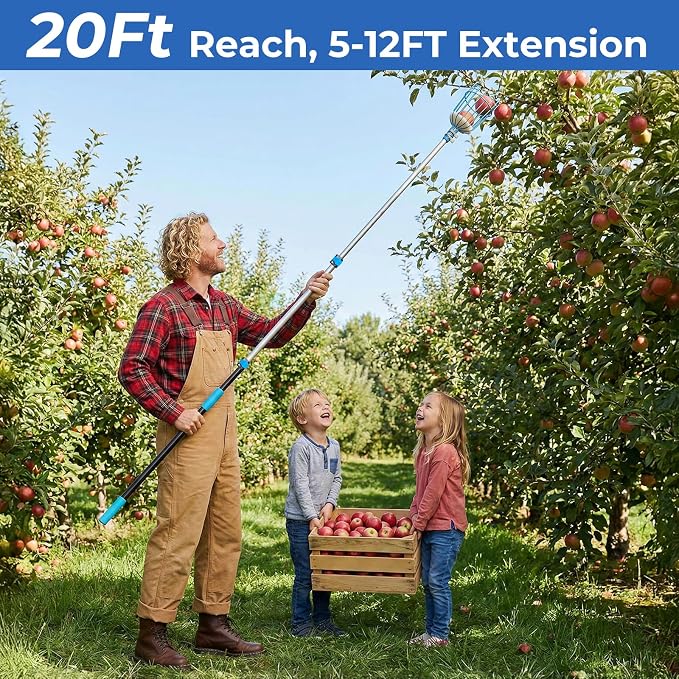MAVRIZ 5-12ft Fruit Picker Pole with Basket, 20FT Reach Telescoping Apple Picker Extension Pole, Fruit Grabber for Harvesting Mango, Orange, Lemon, Avocado, Pear - Sturdy Aluminum Fruit Tree Picker