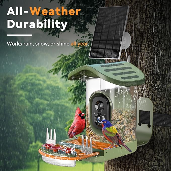 Rayki Smart Bird Feeder with Camera Solar Powered, 2k Hd Live Video & Ai Identification 10,000+ Bird Species, Outdoor Watching Birdhouse for Garden, Ideal Birthday, Christmas Day Gift for Lover
