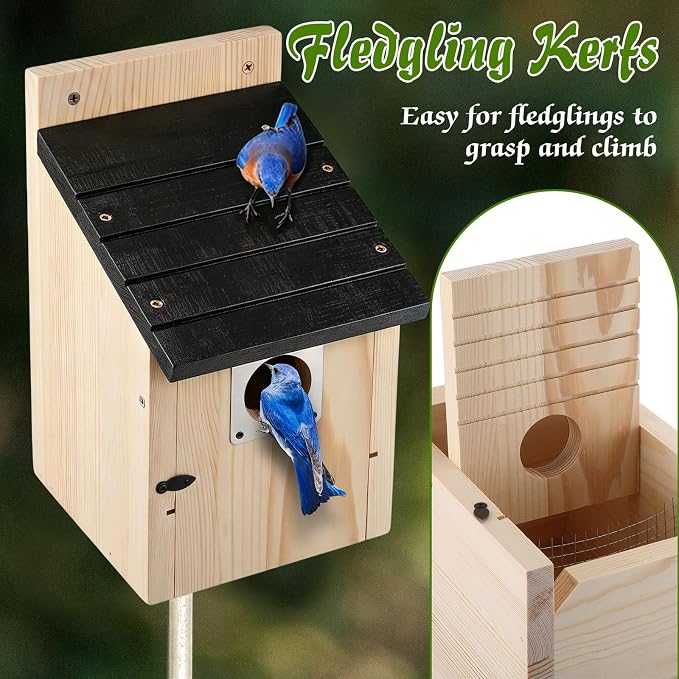 Dreyoo 8 Pack Bluebird Houses for Outside with Metal Predator Guard, 1-1/2" Entrance Hole Wooden Blue Bird Houses for Outdoors, Bluebird Nesting Box with Screwdriver(Black Roof, Wood Body)