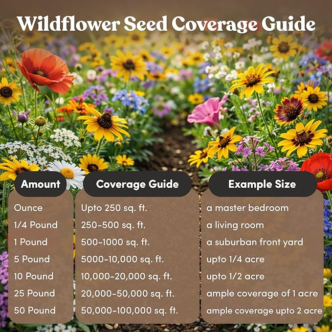 Midwest Wildflower Seeds Regional Mix - Organic, Non-GMO - 100% Pure Seed - 21 Different Wildflowers Seeds of Annual and Perennial, 1 LB Tub