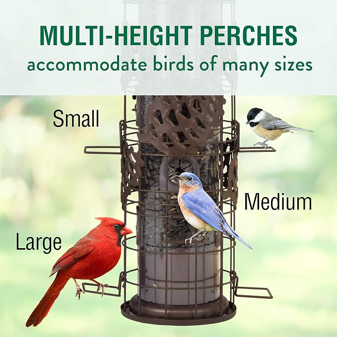 Perky-Pet SBG101 Squirrel Off Max Pinecone Bird Feeder with Flexports – 1.75 lb Capacity