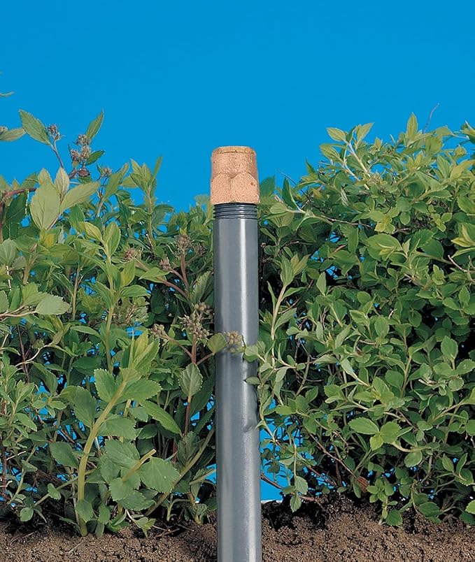 5-Pack Orbit 54032 Brass Shrub Head Sprinkler with Brass Quarter Pattern Spray Nozzle