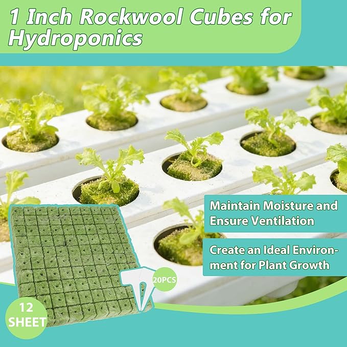 600 PCS 1 Inch Rockwool Cubes for Hydroponics, Rock Wool Hydroponic Planting Blocks with 20 Plant Name Tags, Rockwool Starter Plugs for Seedling & Cutting in Soilless Cultivation (12 Sheets)