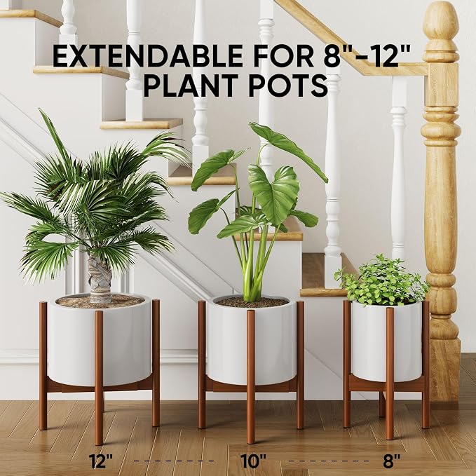 MUDEELA Plant stand dark brown 2 pack or 2 tier and 10" plant saucers 6 pack