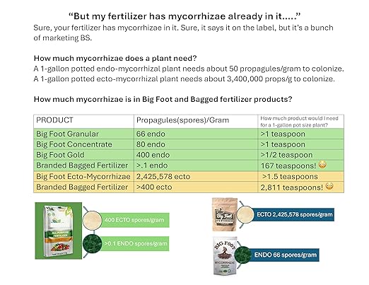 Big Foot Mycorrhizae for Plants, Potted Plants and Gardens - Concentrate Fully Dissolves in Water, Year Round Organic Fertilizer for Root Growth and Healthy Soil - 4 Ounces