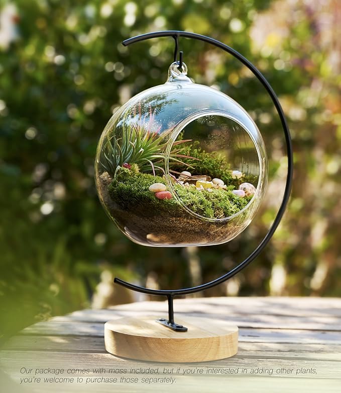 LUCKYRUNES DIY Terrarium Kit with Live Moss, 15-Piece Glass Globe Set with Wooden Stand, Tools, Soil, Stones & Spray Bottle, Indoor Mini Garden Gift for Plant Lovers, Home Desk Decor