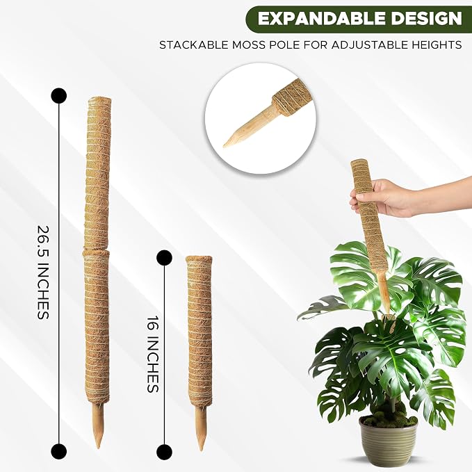 EcoNour 26.5" (2 Pack -16") Stackable Moss Pole for Monstera Plant Support | Moss Pole Sticks for Indoor Plants | Bamboo Plant Stakes,Climbing,Potted,Pothos| Philodendron & Creepers with Tie Accessory