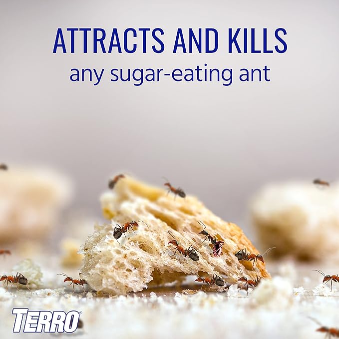 TERRO T200-3SR Liquid Ant Killer – 3 Pack Terro Liquid Ant Baits