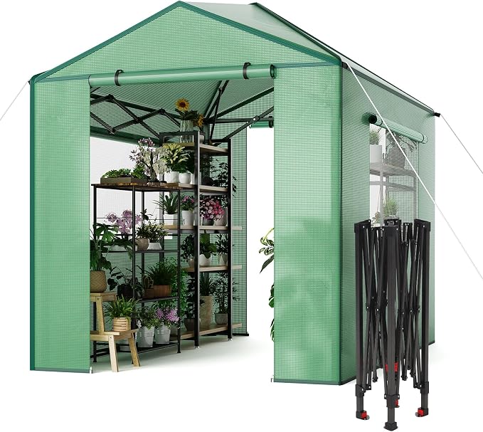 8X6 FT Pop Up Greenhouse,Greenhouse for Outdoors, Portable Walk-in Greenhouses with Roll-Up Zipper Door, PE Cover Greenhouses for Garden and Backyard, Easy Setup