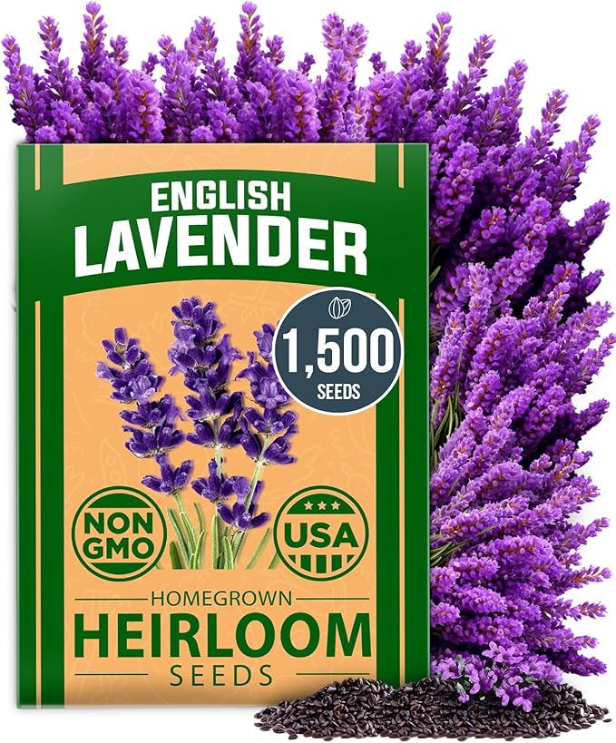 HOME GROWN 𝗨𝗦𝗔 𝗣𝗥𝗘𝗠𝗜𝗨𝗠 90,000+ Wildflower Seeds & Wildflower 134,000 & English Lavender Seeds 1,500