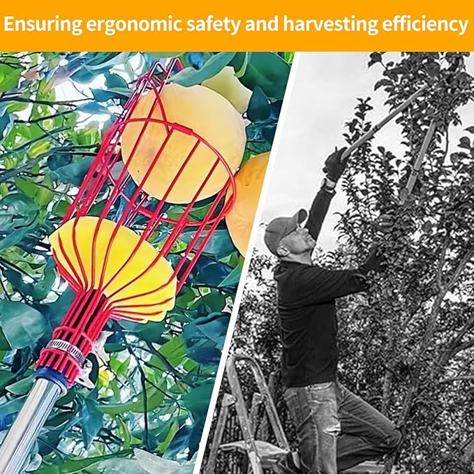 WIN&YING 26FT Reach Fruit Picker Pole, Telescopic Picking Pole with Gentle Grip Claw & Collapsible Basket, Adjustable Apple Picker Pole Tool for Avocado Orange Lemon Pear Mango