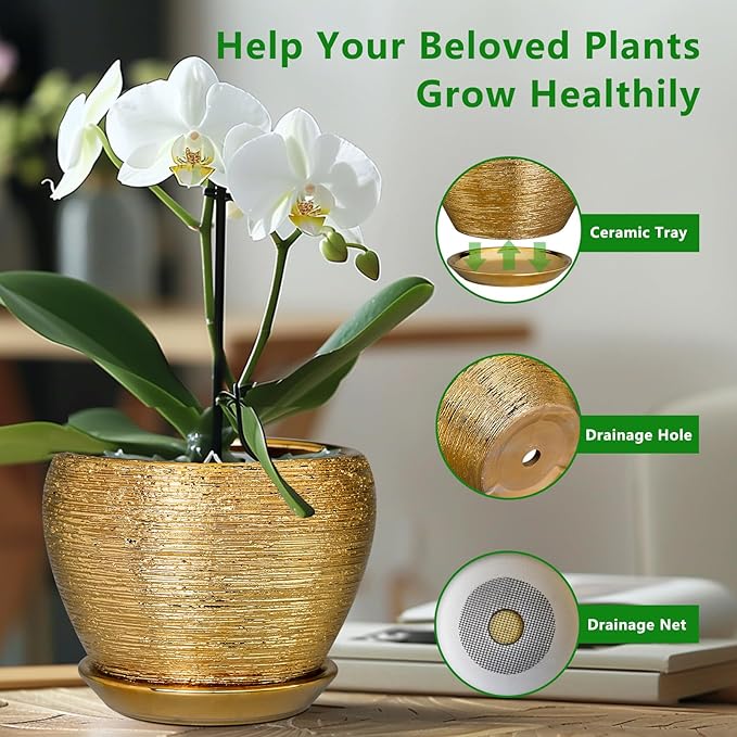 Ceramicfor Indoor Plant Pot 6 Inch - Ceramic Pot for Plants Outdoor Planter with Drainage Hole and Saucer Round Decorative Planter Modern Flower Pot for Home Decor Gold