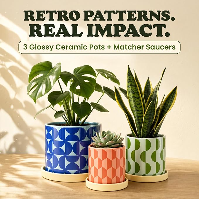 Original Earthlings Ceramic Plant Pots - Flower Pots with Drainage Hole & Saucer, Handmade Flower Vase, Colorful Decorative Planters for Indoor Plants, Succulent, Home Decor - Set of 3 (5", 4", 3.5")