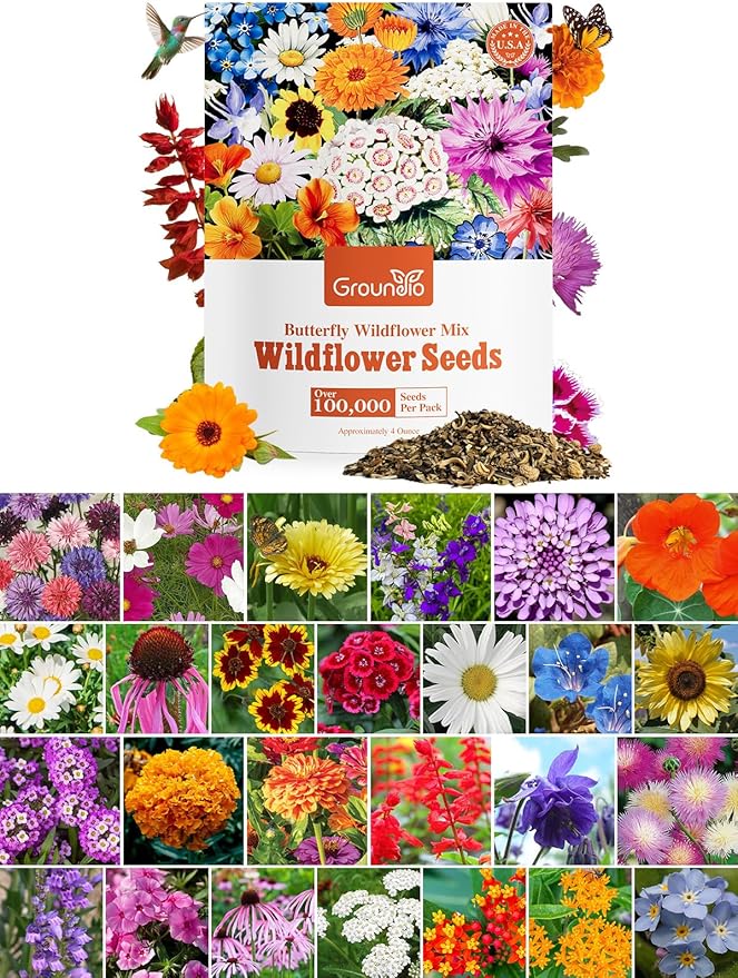 Groundio Wildflower Seeds Bulk, 1/4 lb, 100,000+ Seeds, 26 Variety Mix with Zinnia, Milkweed Seed, Attracts Pollinators, Plant in Spring or Fall, Zones 3, 4, 5, 6, 7, 8, 9, 10