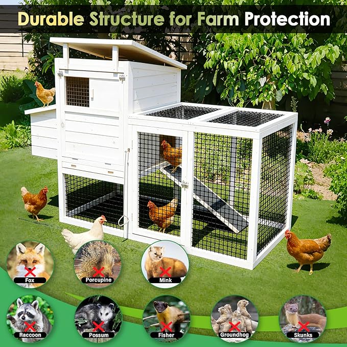 Gbekery Black Hardware Cloth 1/2inch,16in x 10ft 19 Gauge, PVC Coated Galvanized Steel Chicken Wire Fence Roll Garden Plant Welded Metal Wire Fencing Roll, Rabbit Cages Snake Fence,Black