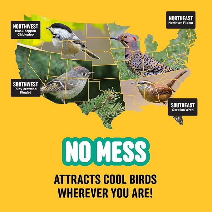 Cool Birds No Mess with Fruit Wild Bird Seed – 10 lb. 100% Edible Shell-Free Blend with Sunflower Hearts, Peanuts, Tree Nuts, Pumpkin Seed & Real Fruit – No Waste Bird Seed for Outside Feeders