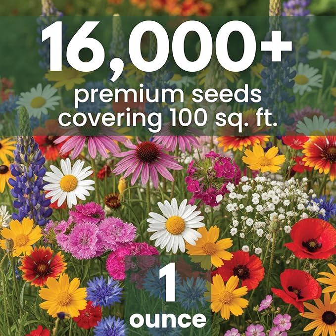 Northeast Natives Mix – 16,000 Seeds for Planting – 2026 Season – 1 Ounce Pouch