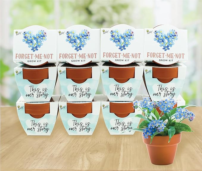 BUZZY Seeds Forget-Me-Not Terracotta Mini Grow Pots Love Collection, 12-Pack All-in-One Gardening Kit for Wedding Favors, Prizes, Birthday Gifts, Party Favors, Bridal Showers, Valentines
