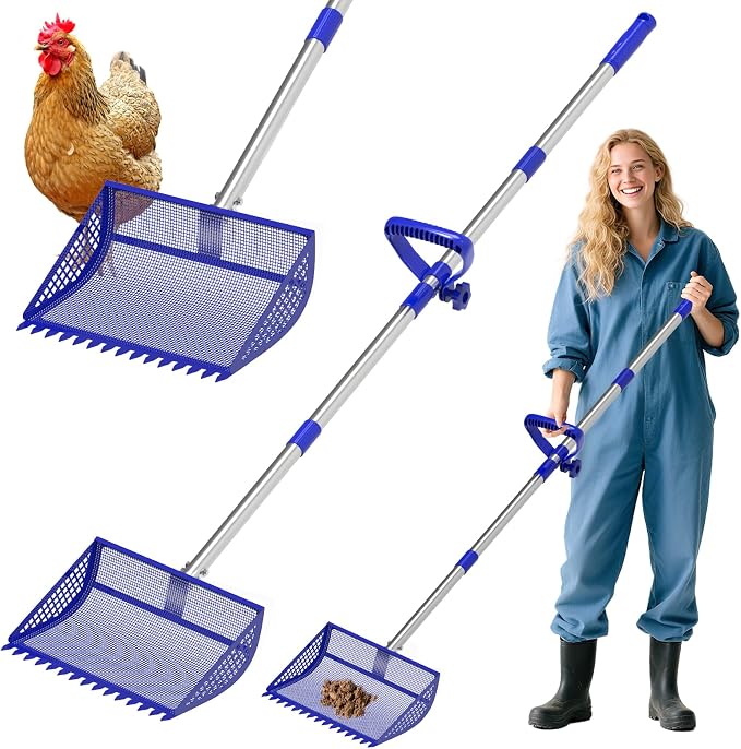 Chicken Poop Scooper Rake 2-in-1,304 Stainless Steel Shovel Head, Chicken Litter Scoop with Handle for Chicken Coop for Sand, Pet Waste Cleaning, Litter Sifting Shovel (35 to 65") (Blue, 12inch)