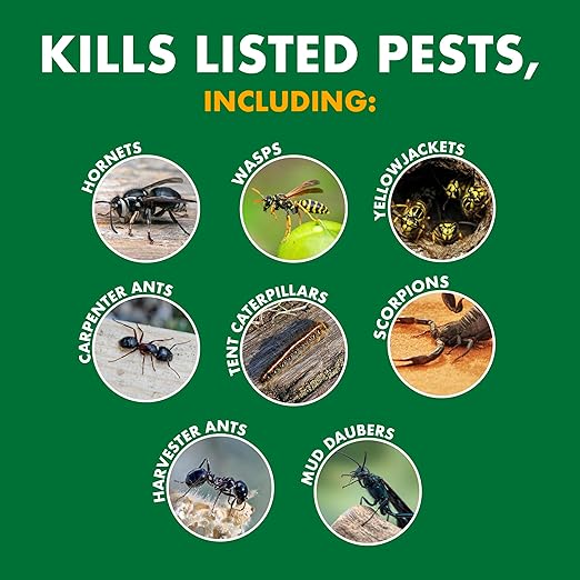 Spectracide Wasp & Hornet Killer Aerosol Kills Wasps, Hornets And Yellow Jackets On Contact & Eliminates The Nest, 12 Pack