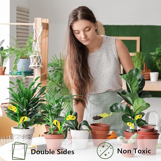 60PCS Yellow Sticky Traps for Plant Gnats Fungus Gnat Traps for House Indoor Fruit Fly Traps for Indoor/Outdoor Catcher for Whiteflies Mosquitoes Thrips Aphids... Stake Holders Included Dual-Sided