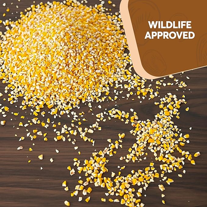 Cracked Corn 10 lb – Premium Bird Seed & Wildlife Feed for Ducks, Deer, Squirrels, Chickens, and Turkeys – Cracked Corn for Wild Birds – Grown in USA
