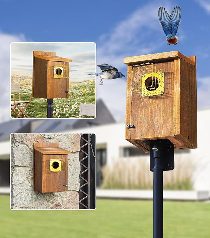 2pk Fortress Bluebird House for Outdoor Clearance - Metal Entry Cage, Mesh Base & Brass Guard - Cedar Bird House for Bluebirds, Finches, Patented Design, Weatherable 5 Years Usage, 6"x7", 2026 Updated