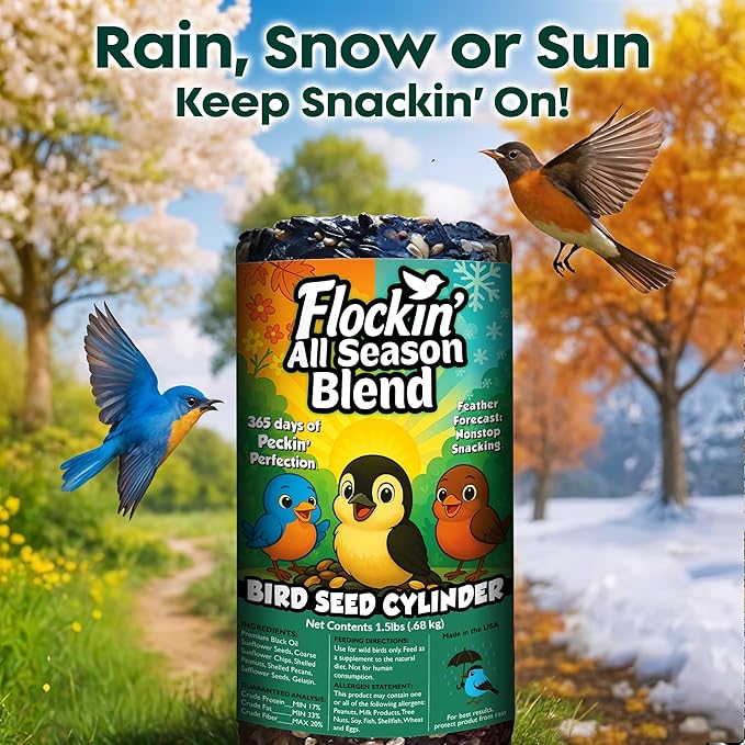 All Year Round Bird Seed Cylinders with Hole – All Season Wild Bird Food for Blue Jays, Cardinals, Doves, Finches & More – Balanced High Energy All Natural Blend, No Fillers – USA Made (6" x 7.75")