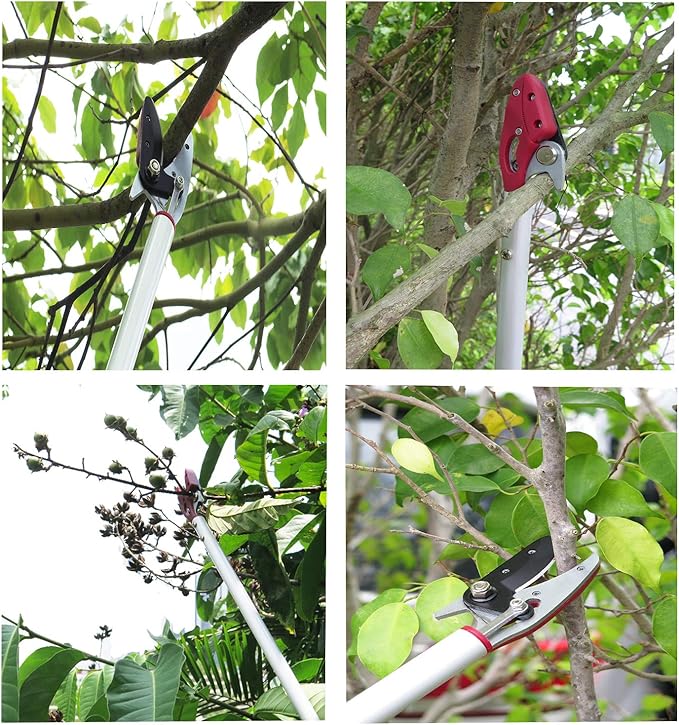 2FT Long Reach Pruner and Fruit Picker with Cut & Hold Feature, Lightweight 0.7lb Aluminum Pole with 90° Rotating Head, High Carbon Steel Sharp Blade, Ergonomic Tree Trimmer for High Branches