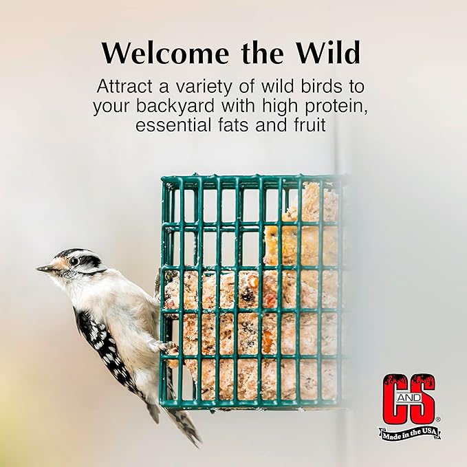 C&S Suet Variety Value Pack, Peanut Delight Dough & Berry Treat, Wild Bird Food, Year Round Source of Energy for Birds, 24 Pack