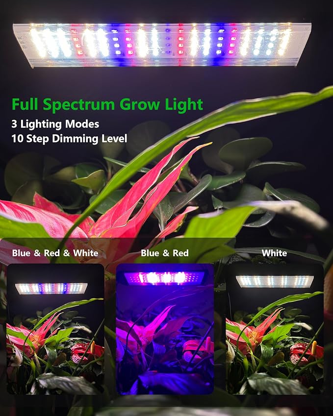 Wall Planters for Indoor Plants with Grow Light & Self Watering System, 6-Pot Vertical Garden for Herbs, Vegetables, Flowers, Succulents, Includes Screws & Expansion Pipes