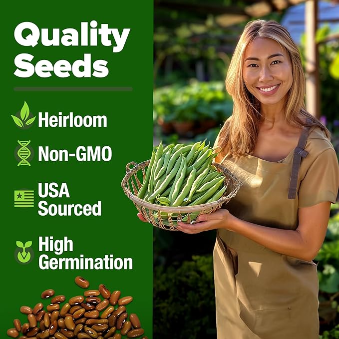 HOME GROWN Contender Bush Bean Seeds 56+ Heirloom Non-GMO, High Germination, Stringless Green Beans for Planting, Early Harvest, Emergency Food Supply, Fresh Eating & Canning (Phaseolus vulgaris)