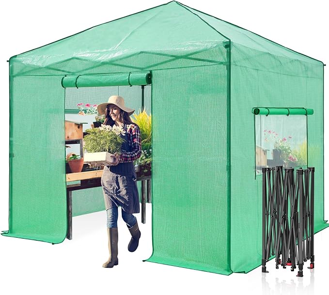 EAGLE PEAK 10x10 Portable Walk in Greenhouse, Pop Up Indoor Outdoor Greenhouse, Green House Kit with Zippered Roll-Up Doors and Windows, PE Cover, Clear/Green