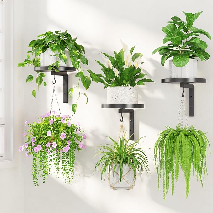 LASZOLA Plant Hangers Shelves Wall Mounted Indoor, Metal Window Plant Holders, 3Pcs Modern Floating Flower Display Stand with 3 Hooks for Outdoor Kitchen Bathroom Decor, Black