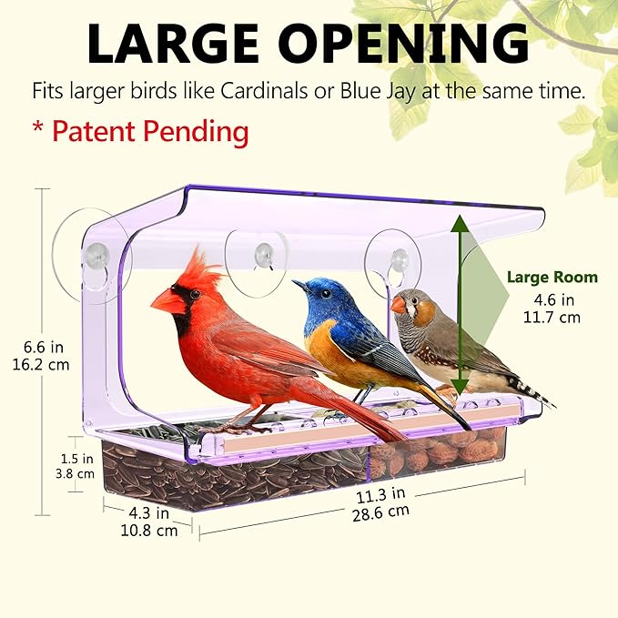 LUJII Purple Window Bird Feeder with 5 Super Strong Suction Cups, All One Piece Construction, Removable Seed Tray, Accommodates Large Birds Like Cardinals or Blue Jay for Outside Wild Bird Feeding