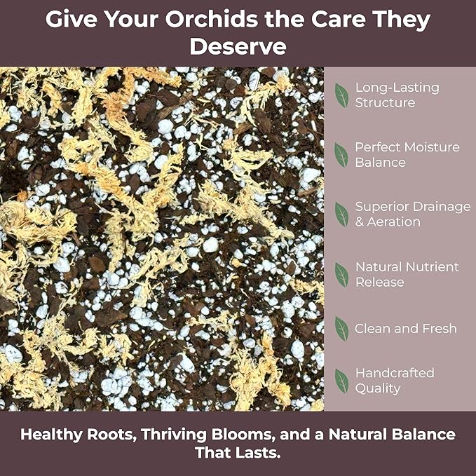 GARDENWISE Orchid Potting Mix – Orchid Bark, Sphagnum Moss, Tree Fern & Perlite for Repotting Phalaenopsis Orchids, Indoor Plants, Orchid Soil Medium – Sustrato para Orquídeas (5 Quart)