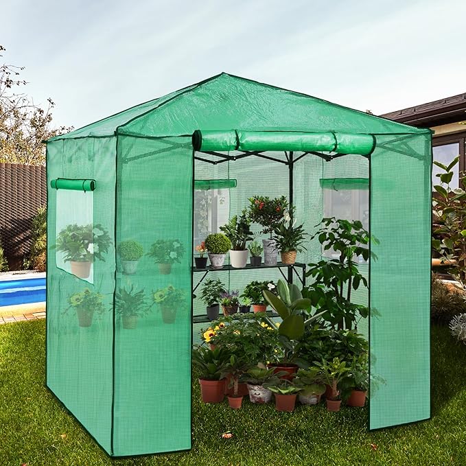 EAGLE PEAK 7x7 Portable Walk in Greenhouse, Pop Up Indoor Outdoor Greenhouse, Green House Kit with Zippered Roll-Up Doors and Windows + Mesh Lining & 2 Foldable Shelves, PE Cover, Clear/Green
