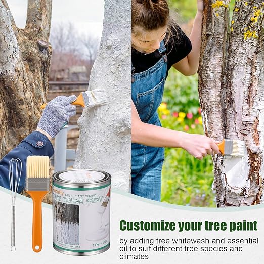 Kathfly 1 Pack Tree Paint Kit Tree Whitewash Trees Trunk Protection with Tinplate Container Whisk Brush for Fruit Nut Ornamental Trees Sapling Garden Yard Orchard (7" Whisk,Large Classic Brush)